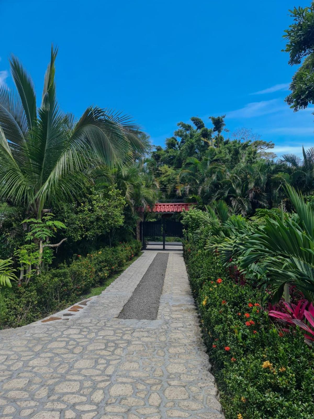 Cabana Villa Victoria El Valle de Anton Ruang foto